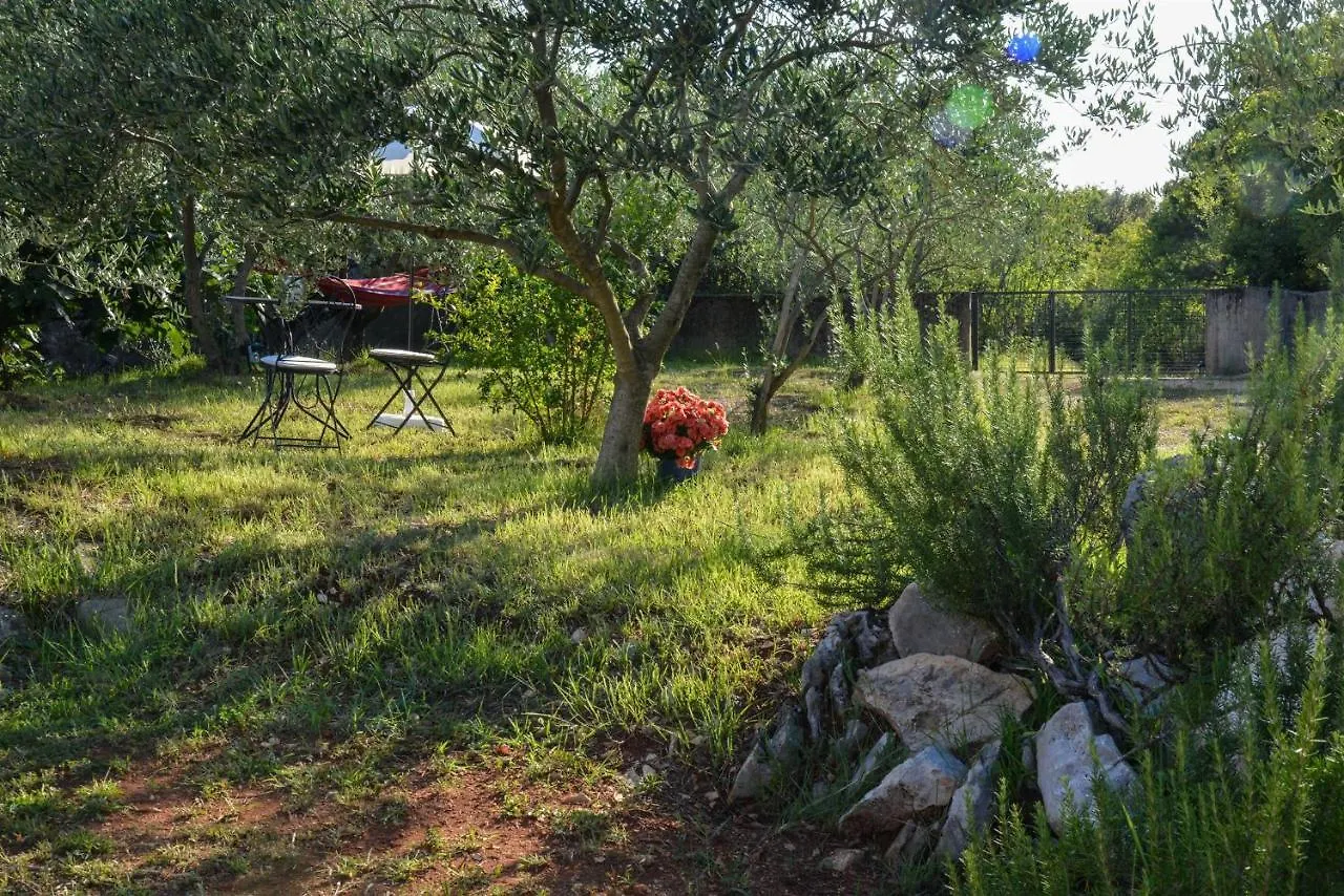 Apartment Villa Oliva Gostinjac